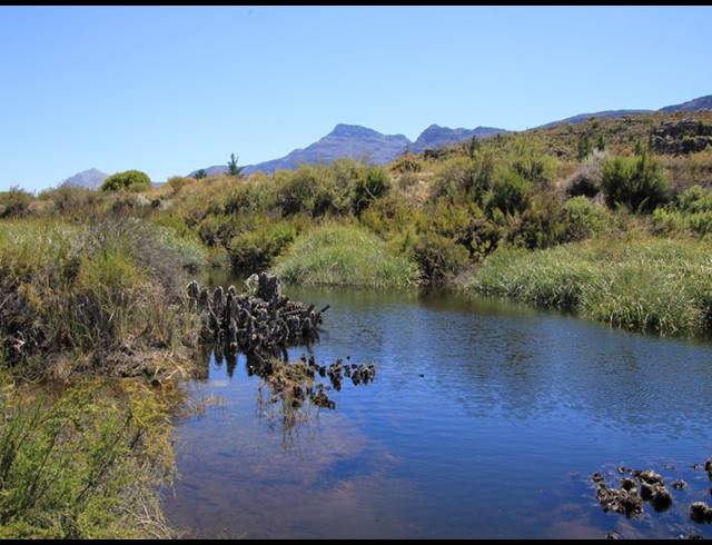 86HA FARM FOR SALE IN CERES RURAL